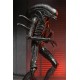Figura articulada Alien Xenomorph XX121 18 cm con accesorios