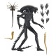 Figura articulada Alien Xenomorph XX121 18 cm con accesorios