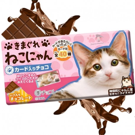 Chocolat Shoei avec cartes à collectionner de chats kawaii
