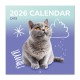 Calendario 2026 de Gatitos en formato cuadrado