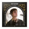 Calendrier Mural Harry Potter 2026 30x30 cm