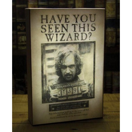 Cuadro Iluminado Harry Potter Sirius Black