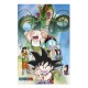 Póster 3D Shenron y Héroes Dragon Ball 38x58 cm