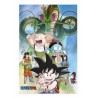 Poster 3D 38x58 cm Shenron et Héros de Dragon Ball