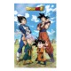 Poster 3D Dragon Ball Super Battle of Gods 58x38 cm
