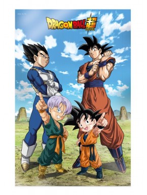 Póster 3D Dragon Ball Super Battle of Gods 58x38 cm