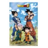 Pôster 3D 58x38 cm Dragon Ball Super Battle of Gods