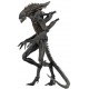 Figura Xenomorph Alien NECA 23 cm Serie 11