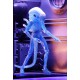 Figura Xenomorph Alien NECA 23 cm Serie 11