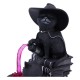 Figura Cult Cuties Curious Cauldron 18,5 cm