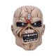 Frasco de Armazenamento Iron Maiden The Trooper 18 cm