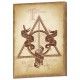 Box Canvas Harry Potter Deathly hallows