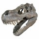 Decoración pared cráneo Tiranosaurio Rex 39,5 cm