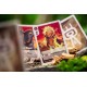 Boîte du jeu de cartes 'The Vale of Eternity'