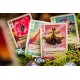 Boîte du jeu de cartes 'The Vale of Eternity'