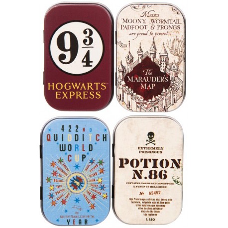 Box case tin Harry Potter Quidditch