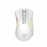 Mouse Gamer Sem Fio Phoenix Void Elite 19000 DPI RGB