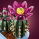Set LEGO Botanicals Cactus en Fleur sur base bleue