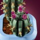 Set LEGO Botanicals Cactus en Fleur sur base bleue