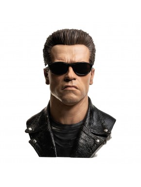 Masque artistique Terminator T-800 avec lunettes de soleil