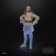 Figura Qui-Gon Jinn Force Spirit Star Wars The Black Series