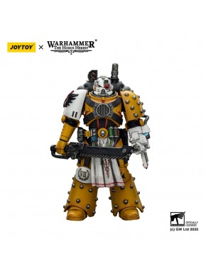 Figura articulada Warhammer 40k Imperial Fists Apothecary 12 cm