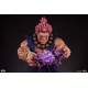 Statue détaillée d'Akuma Street Fighter 107 cm