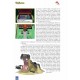 Pokémon: Historia y Evolución de un Fenómeno
