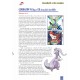 Pokémon: Historia y Evolución de un Fenómeno