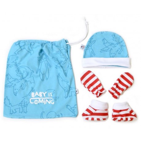 Conjunto Primera Puesta bebé Juego de Tronos Baby Is Coming