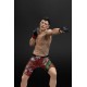 Estatua PVC de Brandon Moreno de UFC, 16 cm