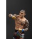Estatua de PVC de Dustin Poirier UFC 16 cm