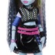 Muñeca Frankie Stein con accesorios de Monster High