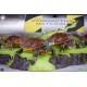 Diorama de las Tortugas Ninja con barril radioactivo y LED