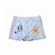 Boxer de bain bleu clair avec personnages Bluey