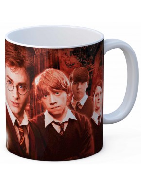 Coupe Harry Potter Armée de Dumbledore