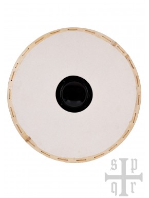 Escudo redondo vikingo con broquel de hierro y lienzo