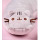 Oreiller Cervical Pusheen le Chat