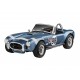 Maquette 62 Shelby Cobra 289 échelle 1:25 de Revell