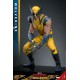 Figura Wolverine Deluxe 1/6 en traje amarillo y azul con accesorios.