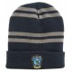 Hat Harry Potter Ravenclaw