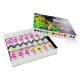 Ensemble de peintures haute pigmentation AK-Interactive