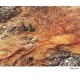 Tapis champ de bataille Warland 3x6 néoprène Pwork Wargames