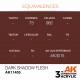 Bouteille de peinture Dark Shadow Flesh par AK-Interactive