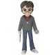 Funko Rock Candy Harry Potter con Profecía