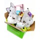 Caja sorpresa especial Kawaii Week