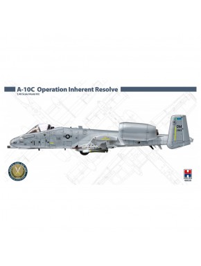 Maquette A-10C Operation Inherent Resolve échelle 1/48