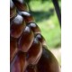 Coraza muscular de cuero con correas ajustables
