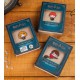Pin Harry Potter Hermione con Escoba Kawaii
