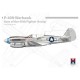 Maquete 1/48 P-40N Warhawk Ases do 49º Grupo de Caça